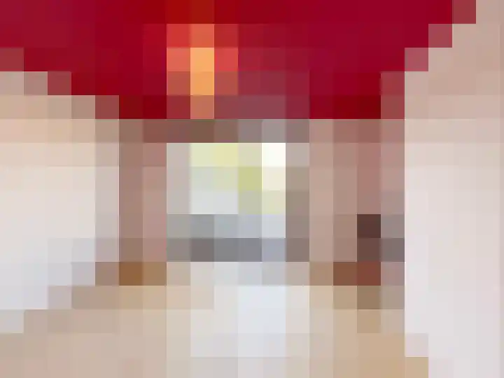 Mosroos 10 Leiden thumbnail 31