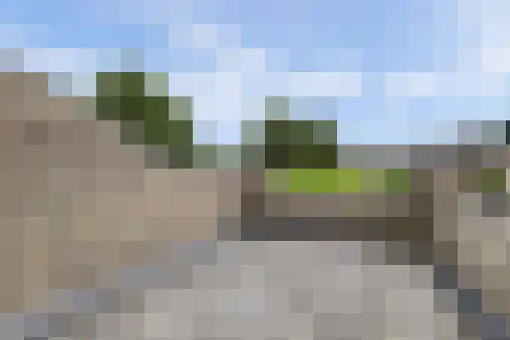 Mosroos 10 Leiden thumbnail 32