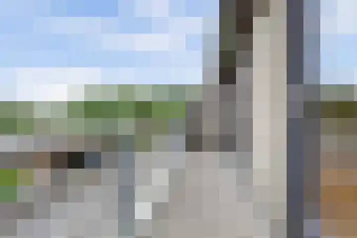 Mosroos 10 Leiden thumbnail 38