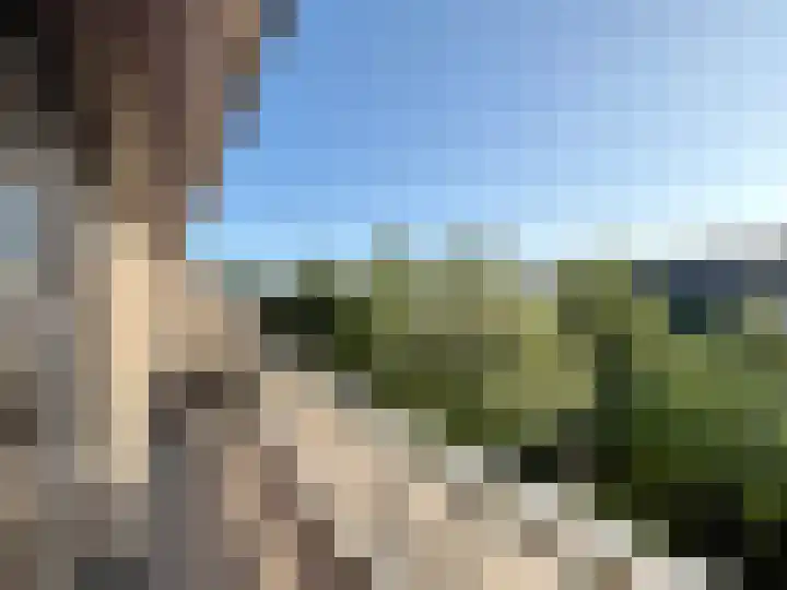 Mosroos 10 Leiden thumbnail 40