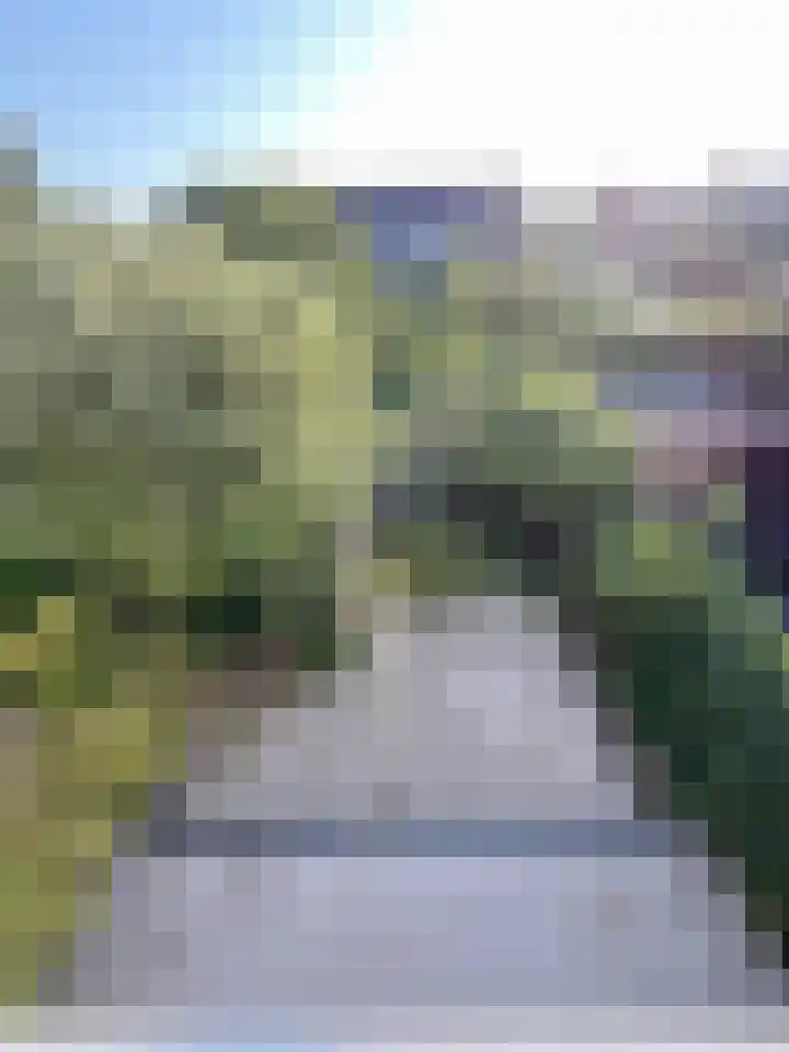 Mosroos 10 Leiden thumbnail 41