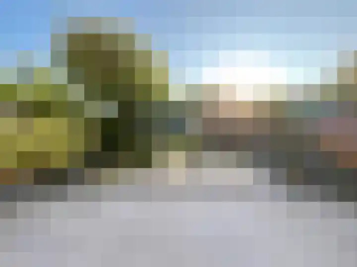 Mosroos 10 Leiden thumbnail 46