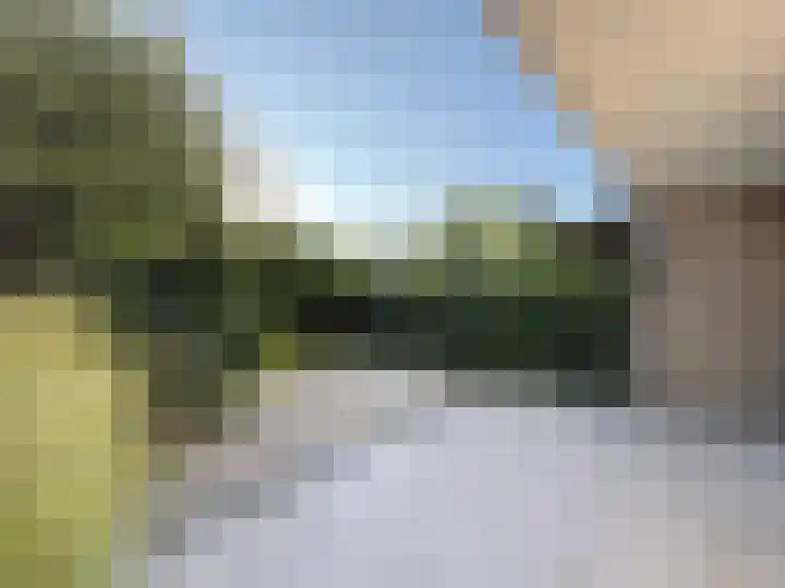 Mosroos 10 Leiden thumbnail 47