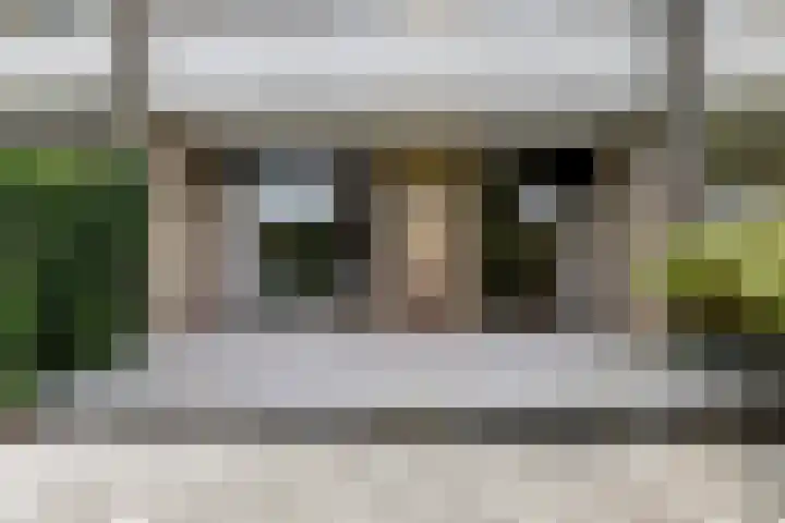 Mosroos 10 Leiden thumbnail 49