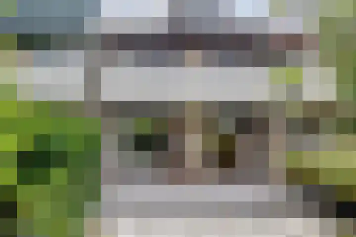 Mosroos 10 Leiden thumbnail 50