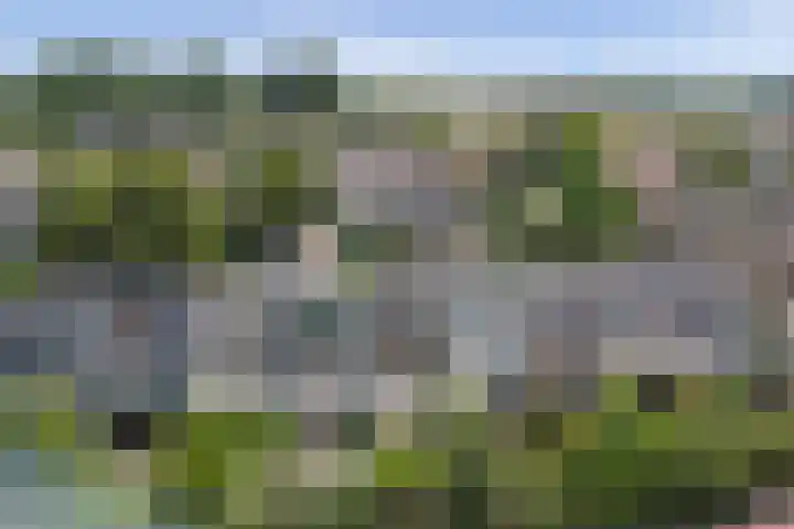 Mosroos 10 Leiden thumbnail 53