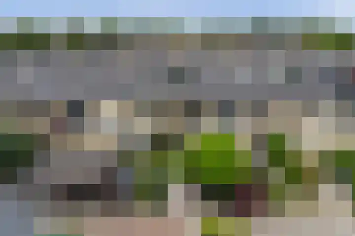 Mosroos 10 Leiden thumbnail 56