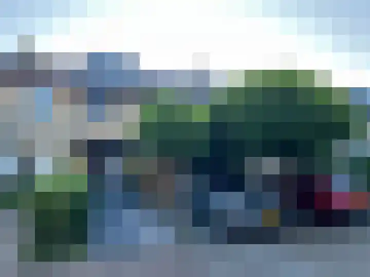 Mosroos 10 Leiden thumbnail 57