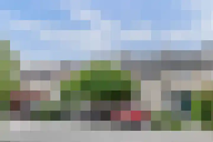 Mosroos 10 Leiden thumbnail 58