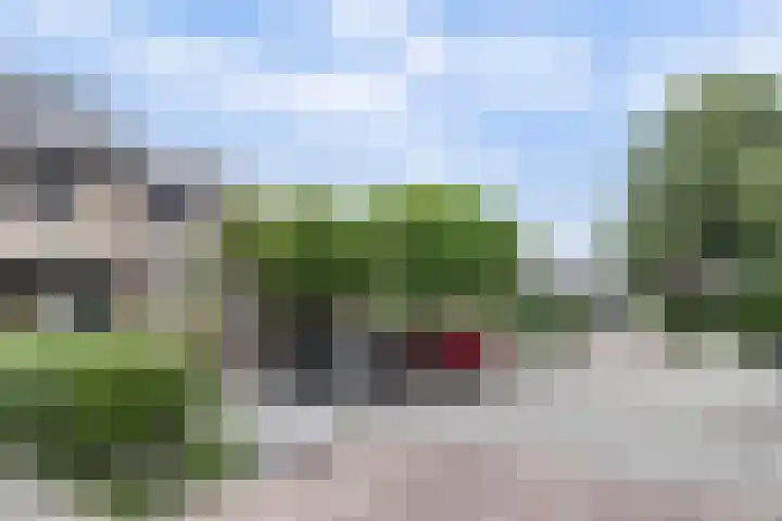 Mosroos 10 Leiden thumbnail 59