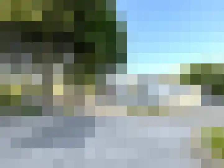 Mosroos 10 Leiden thumbnail 61