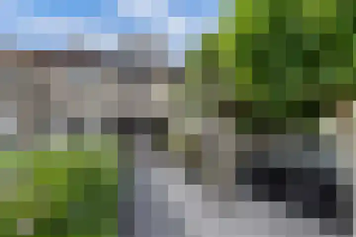 Mosroos 10 Leiden thumbnail 7