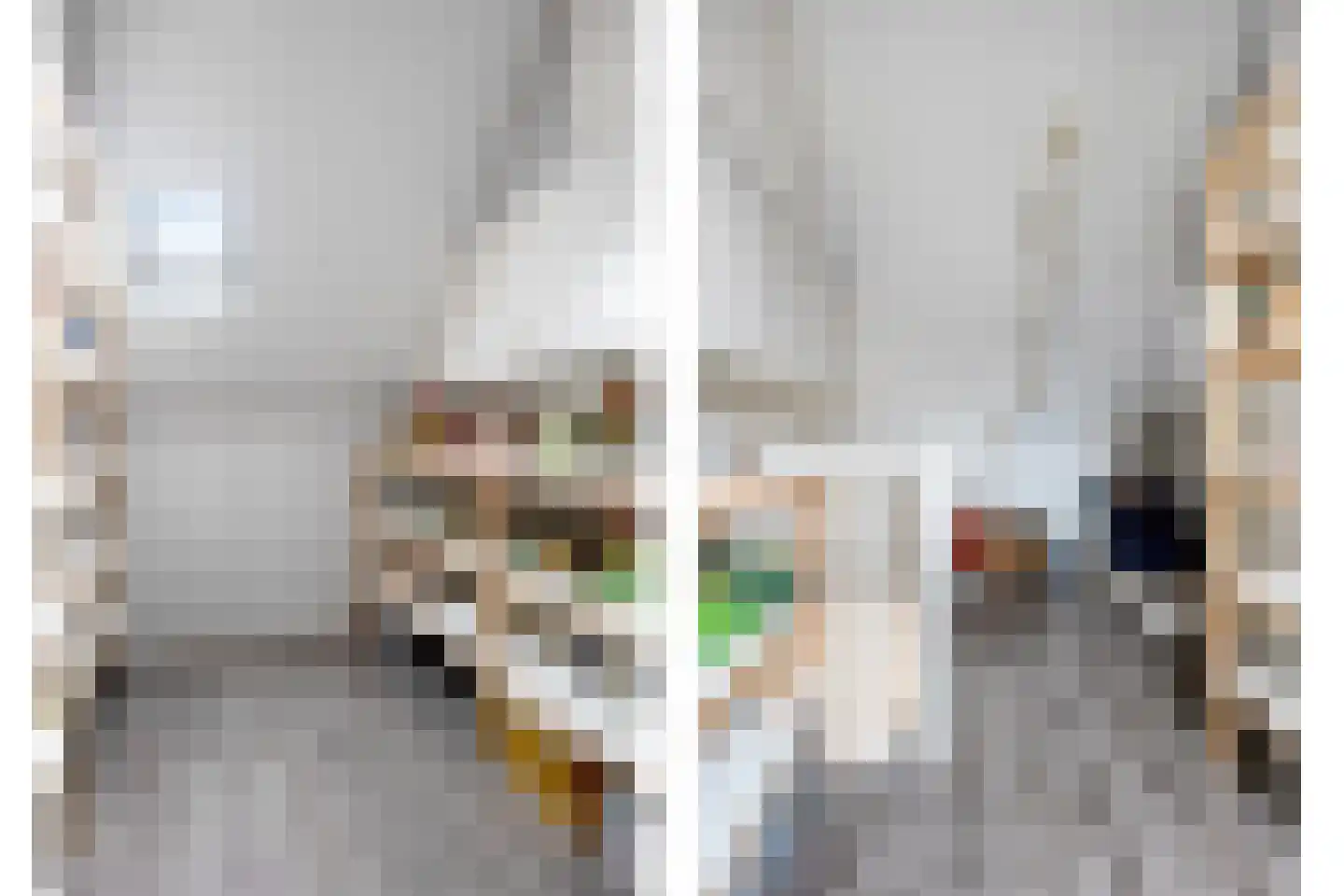 Mosroos 15 Zeewolde thumbnail 32