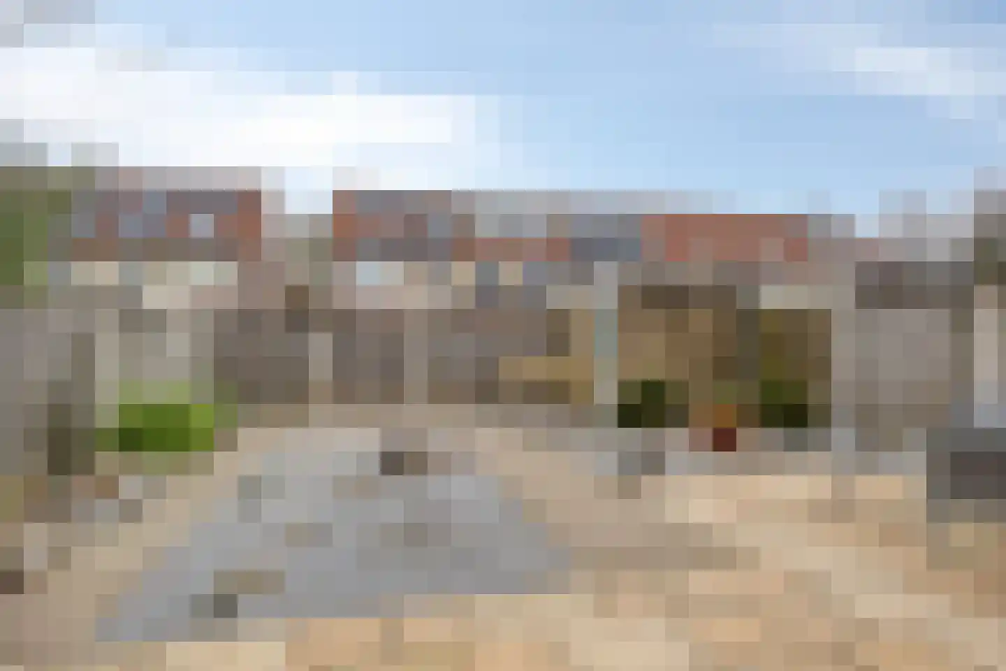 Mosroos 15 Zeewolde thumbnail 33