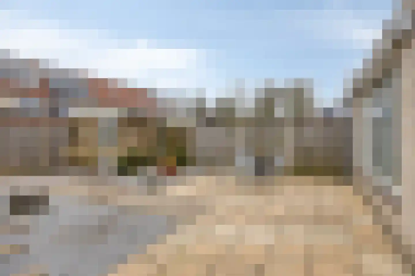 Mosroos 15 Zeewolde thumbnail 34