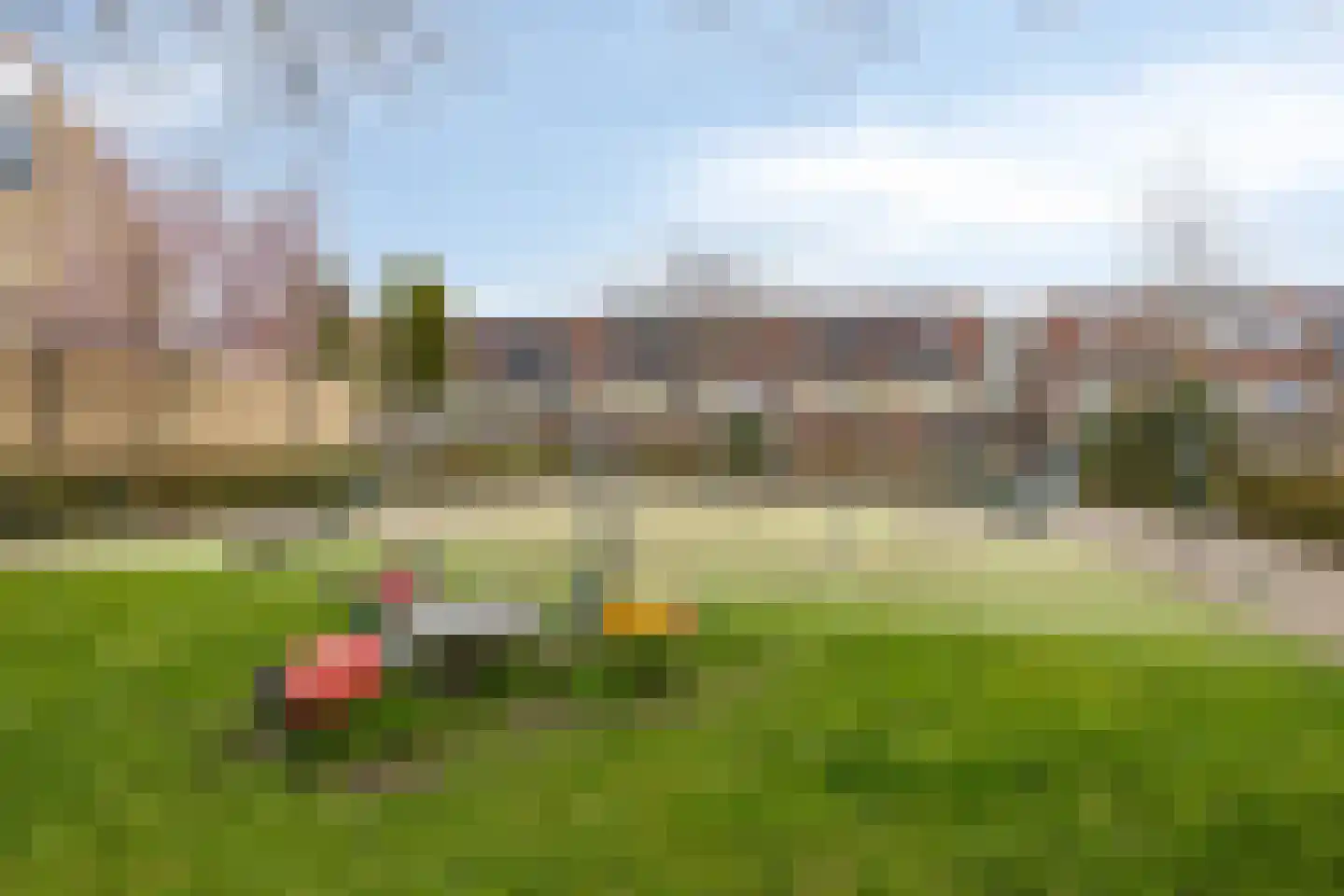 Mosroos 15 Zeewolde thumbnail 37