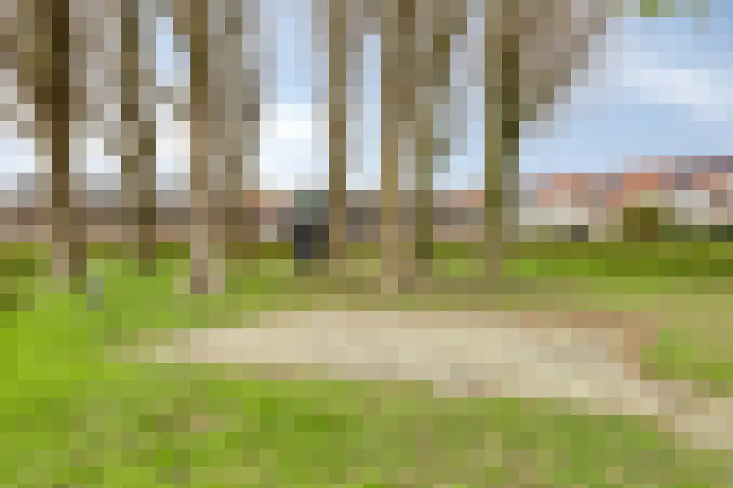 Mosroos 15 Zeewolde thumbnail 38