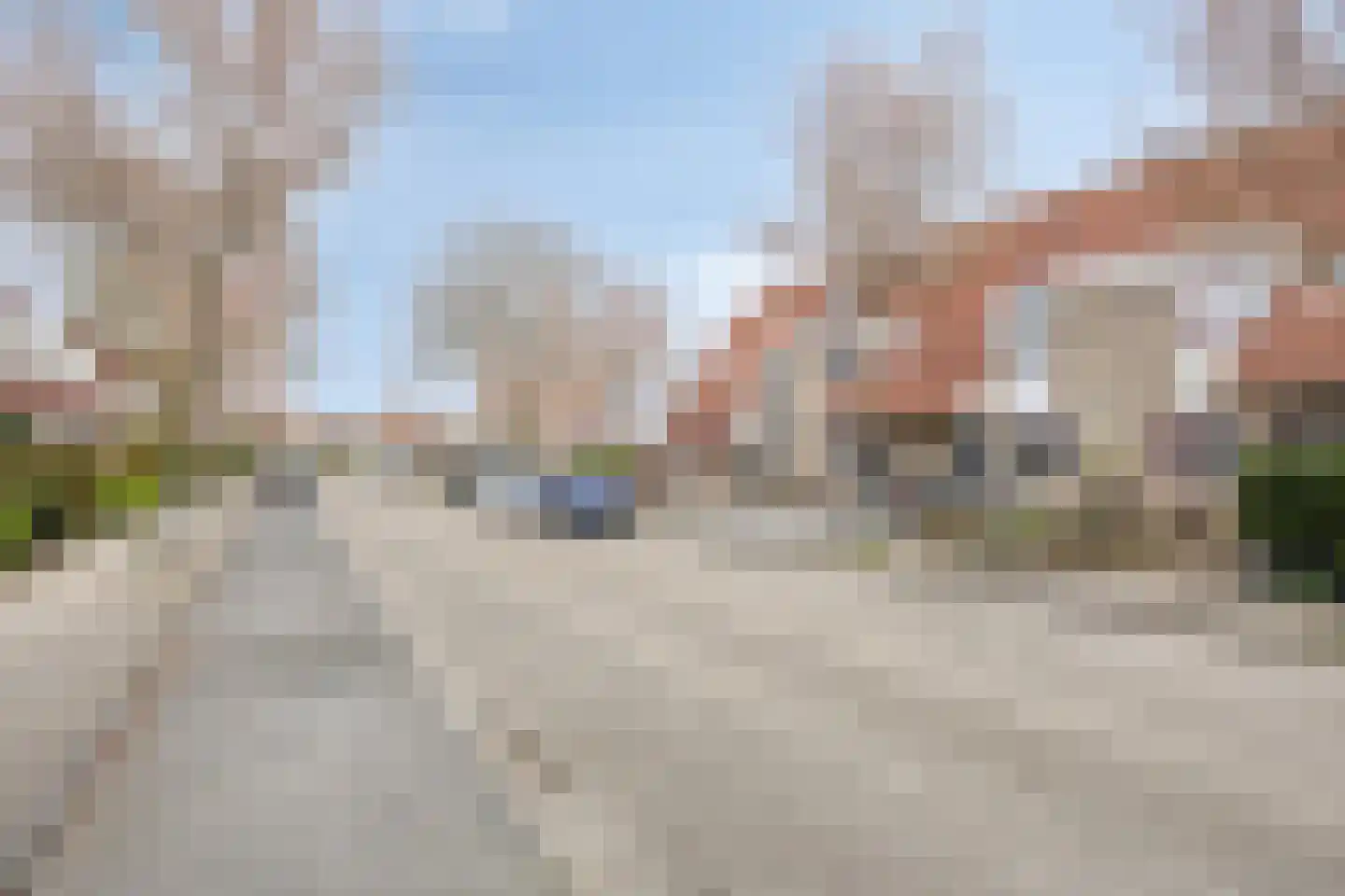 Mosroos 15 Zeewolde thumbnail 5