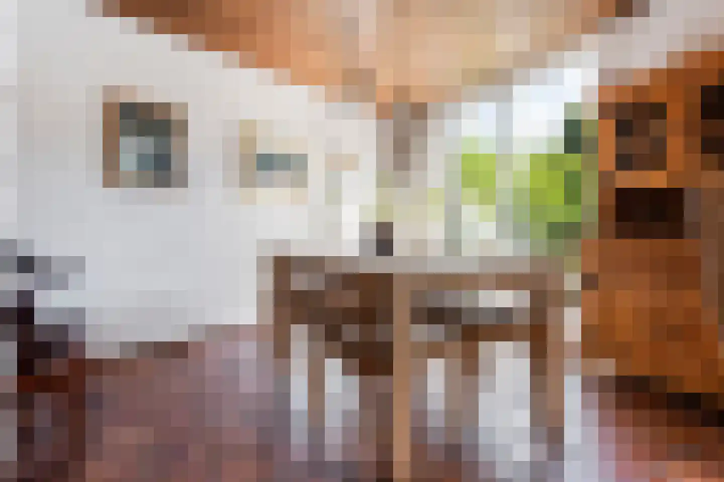 Mosroos 7 Leiden thumbnail 12