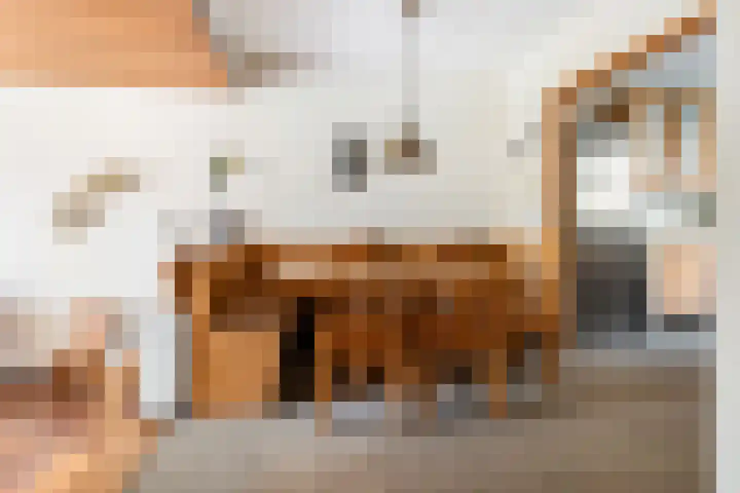 Mosroos 7 Leiden thumbnail 13