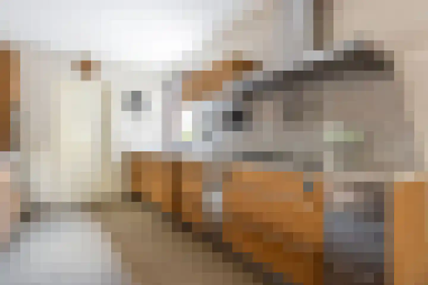 Mosroos 7 Leiden thumbnail 15