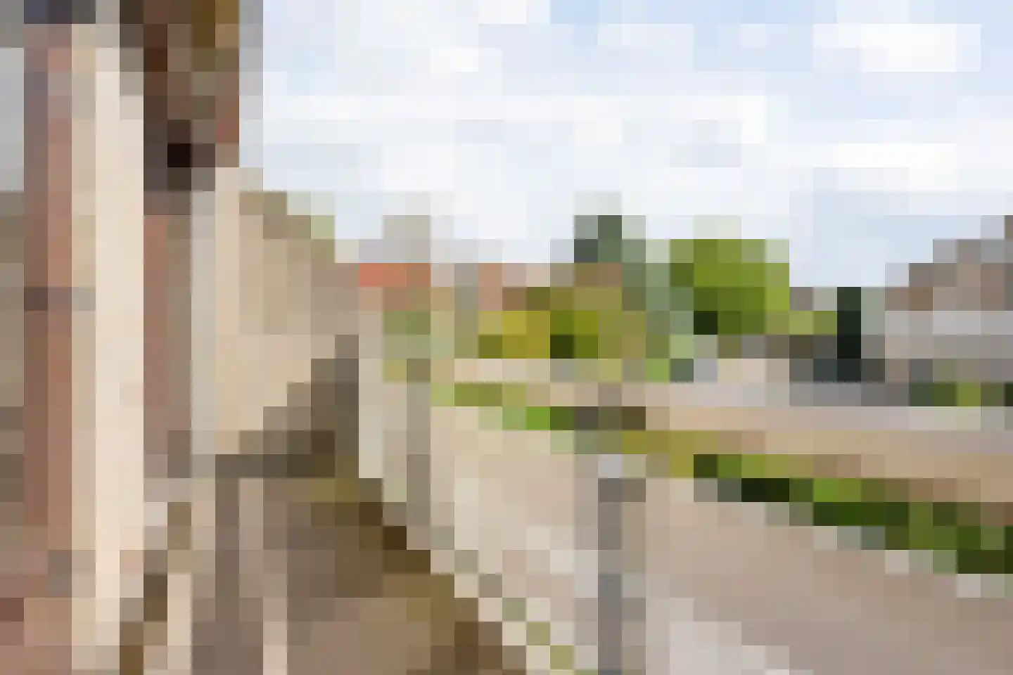 Mosroos 7 Leiden thumbnail 22