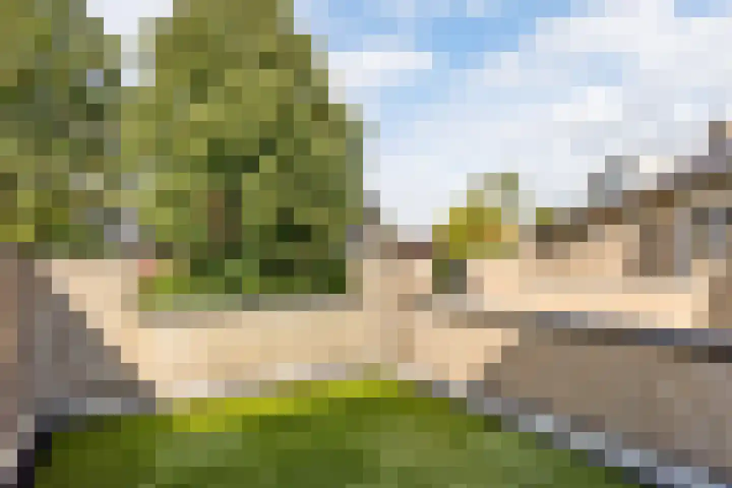 Mosroos 7 Leiden thumbnail 27