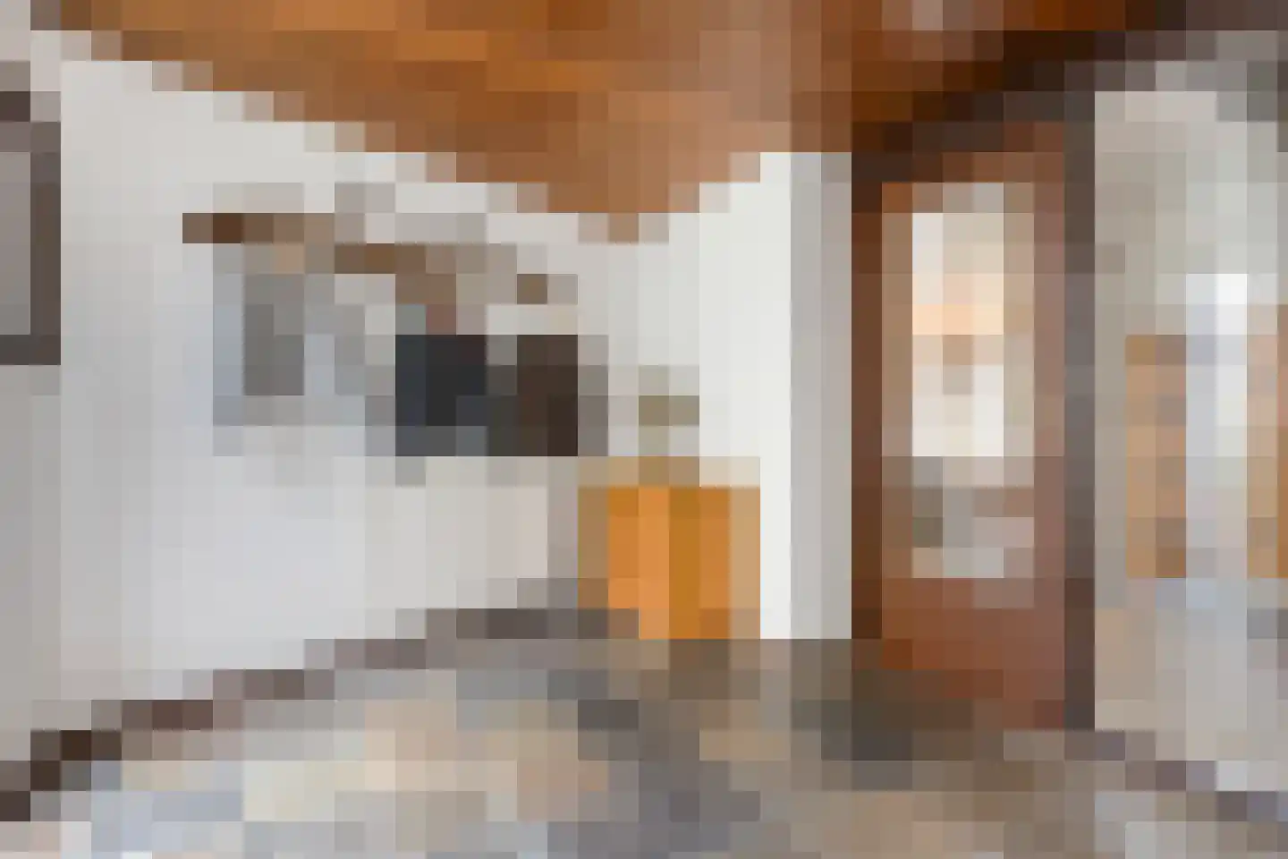 Mosroos 7 Leiden thumbnail 4