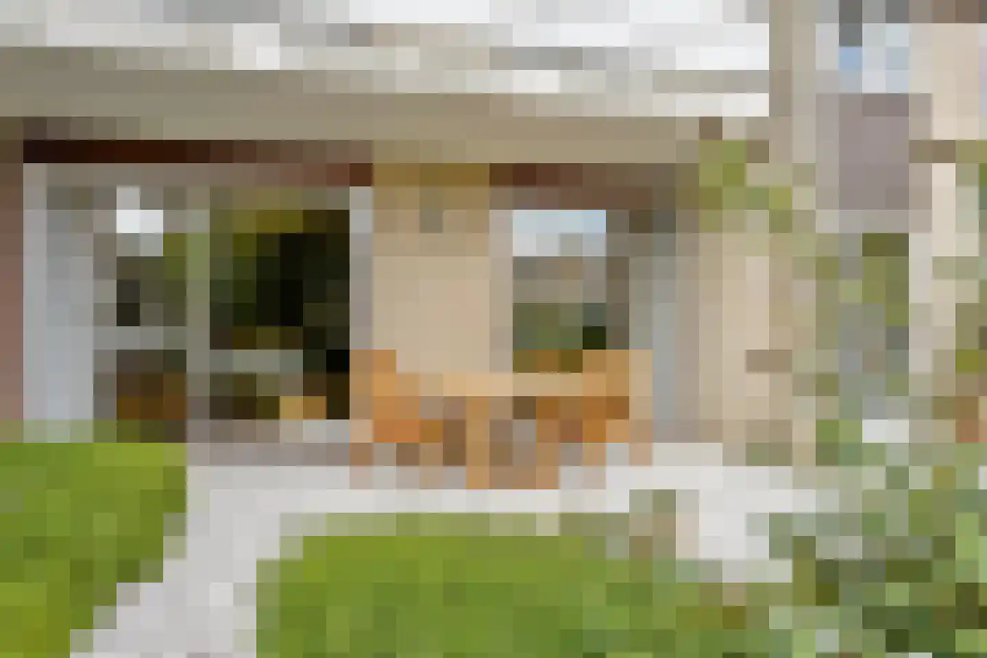 Mosroos 7 Leiden thumbnail 41