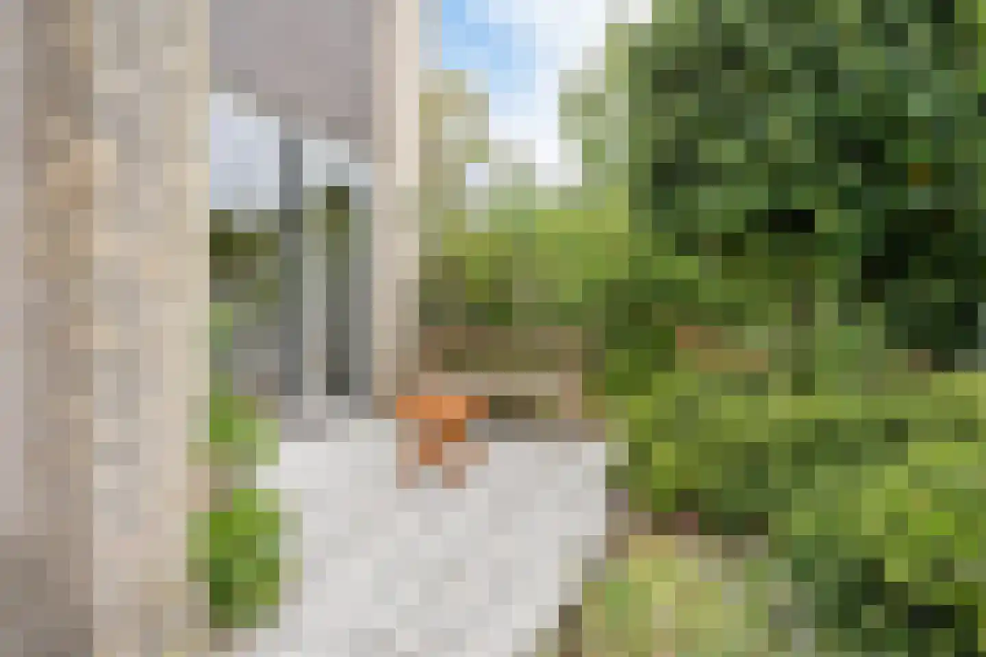 Mosroos 7 Leiden thumbnail 44