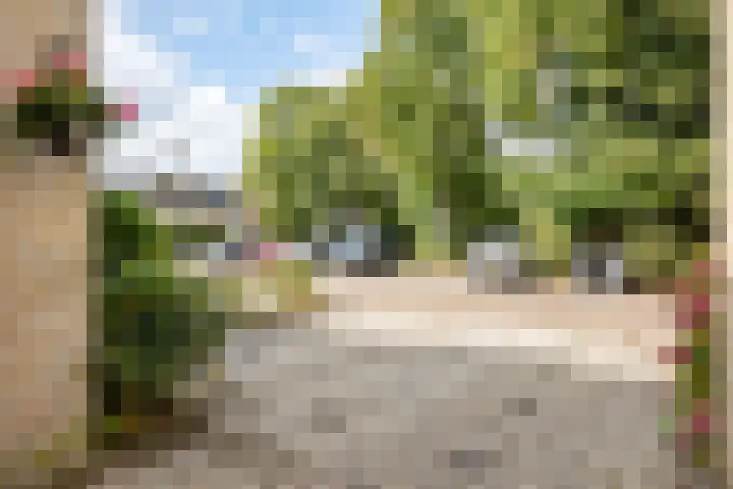 Mosroos 7 Leiden thumbnail 46