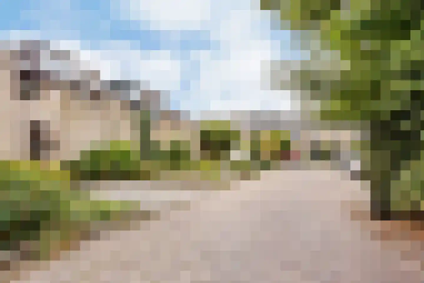 Mosroos 7 Leiden thumbnail 49