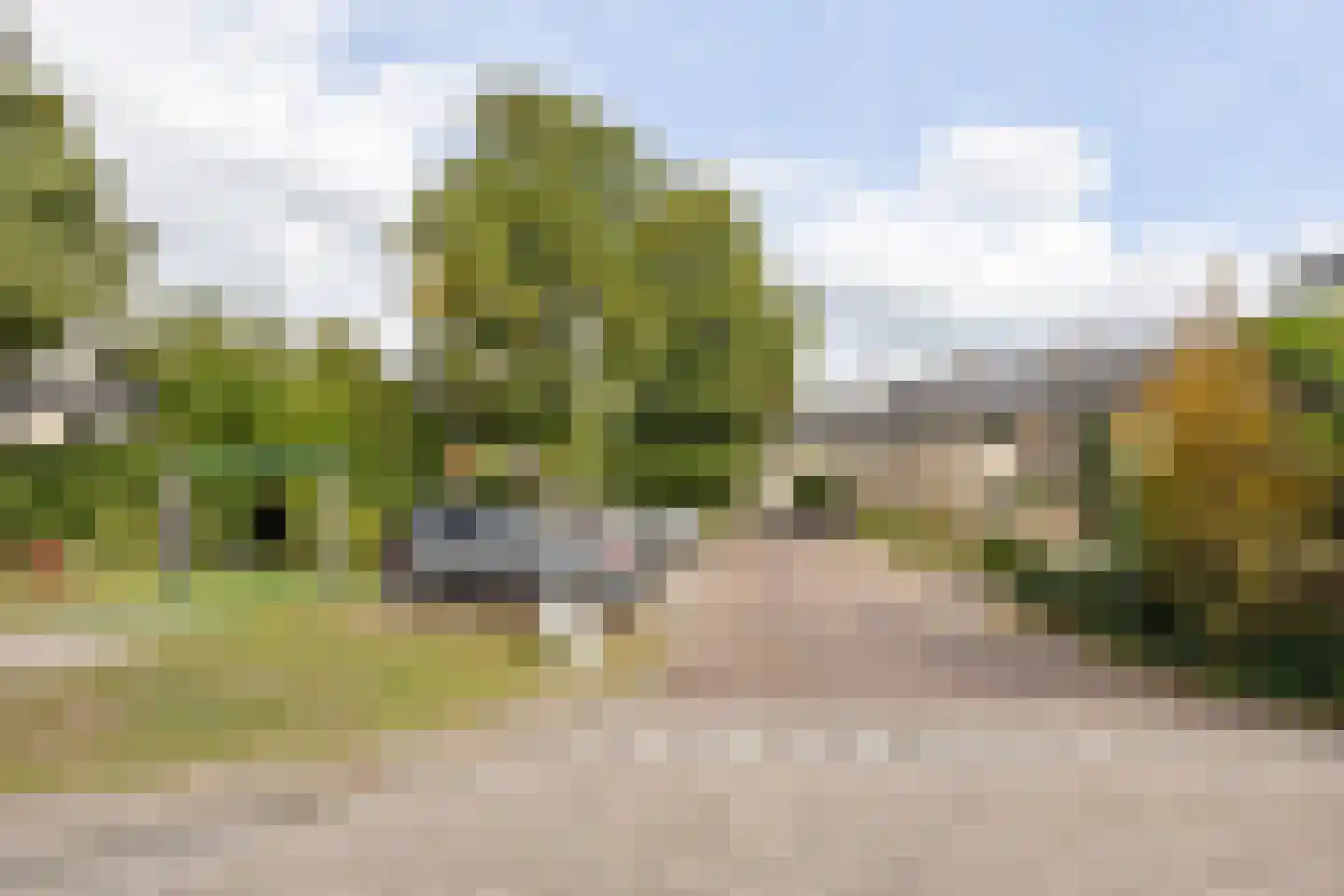 Mosroos 7 Leiden thumbnail 50