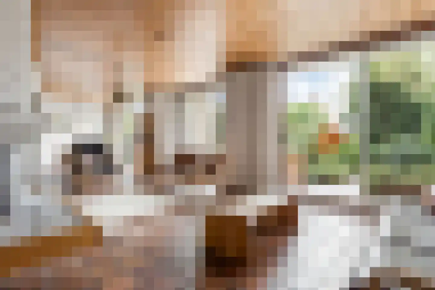 Mosroos 7 Leiden thumbnail 6