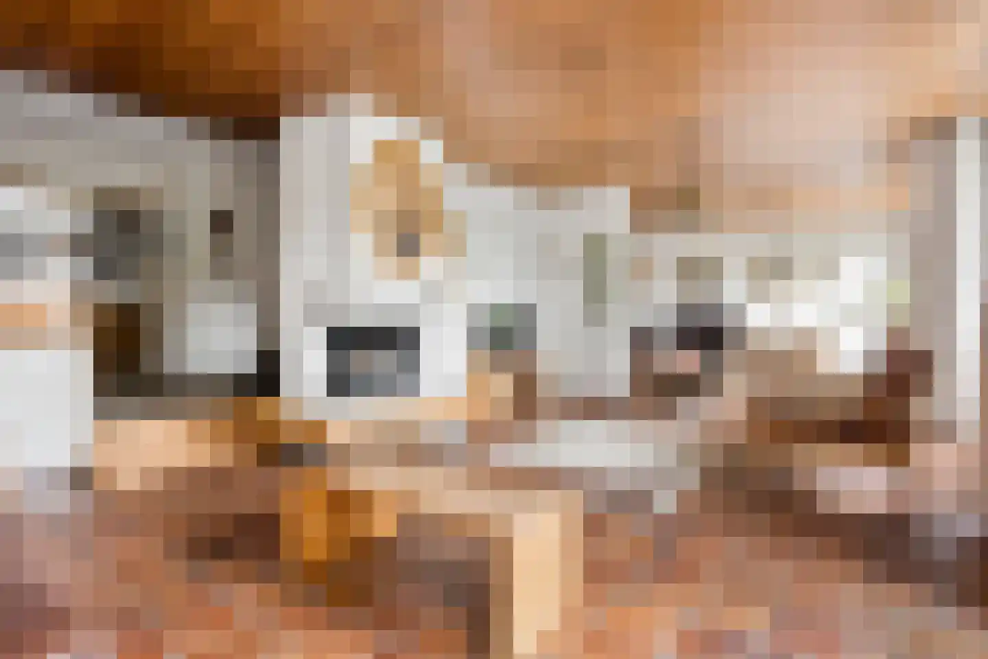 Mosroos 7 Leiden thumbnail 7