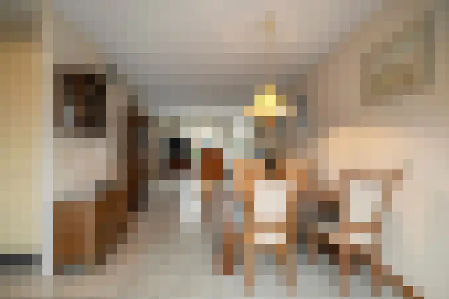 Mossel 16 Middenmeer thumbnail 10
