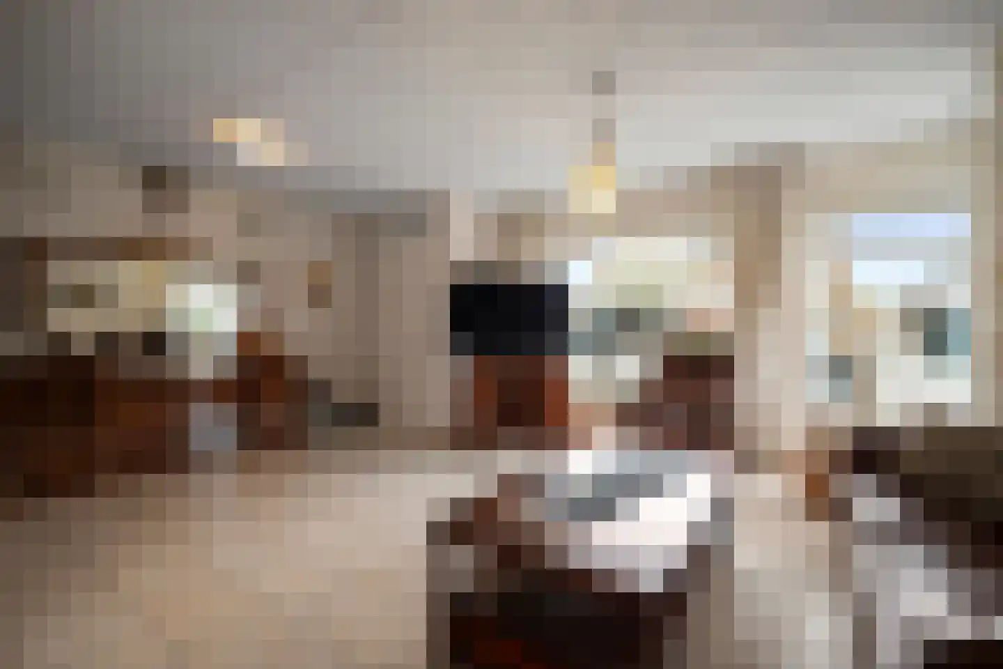 Mossel 16 Middenmeer thumbnail 11