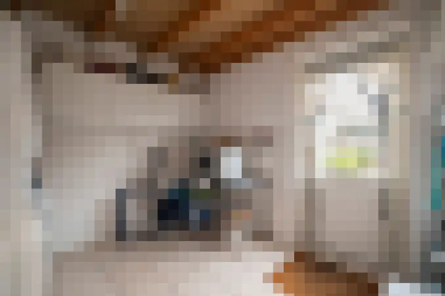 Mossel 16 Middenmeer thumbnail 15
