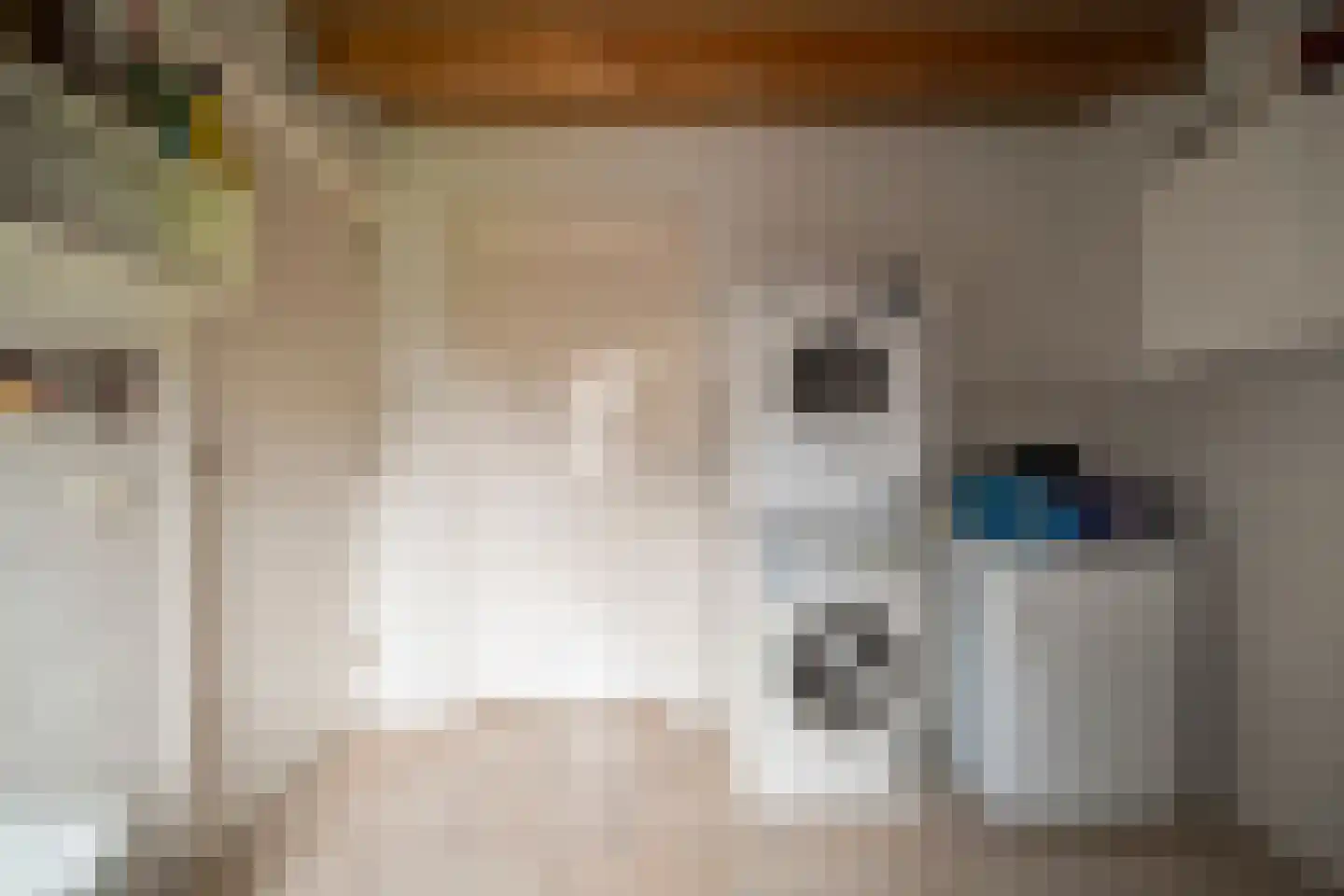 Mossel 16 Middenmeer thumbnail 16