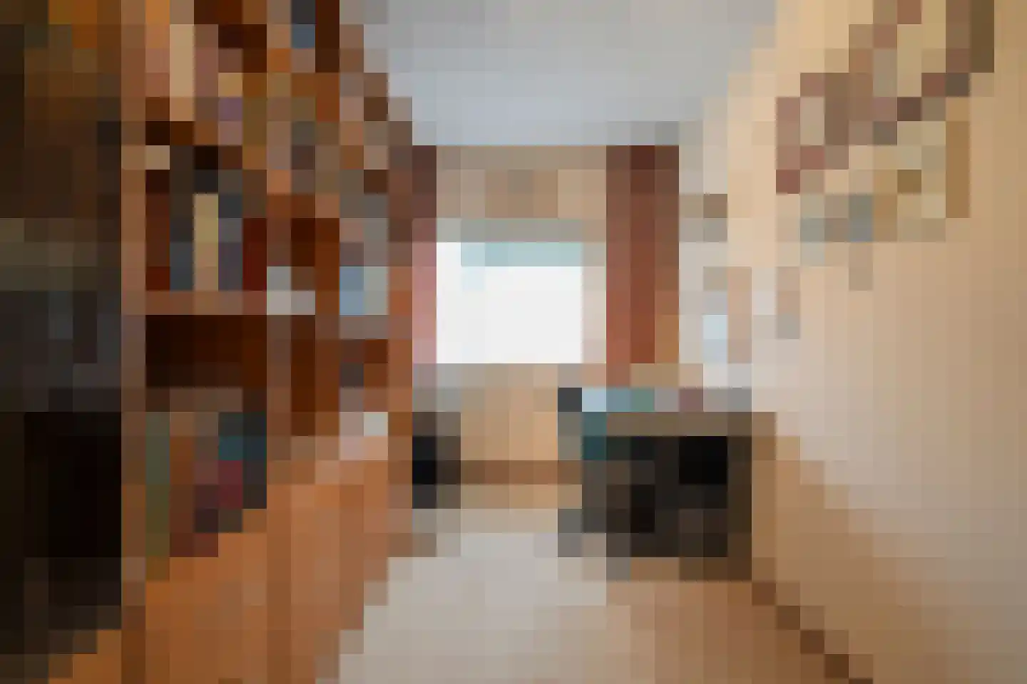 Mossel 16 Middenmeer thumbnail 19