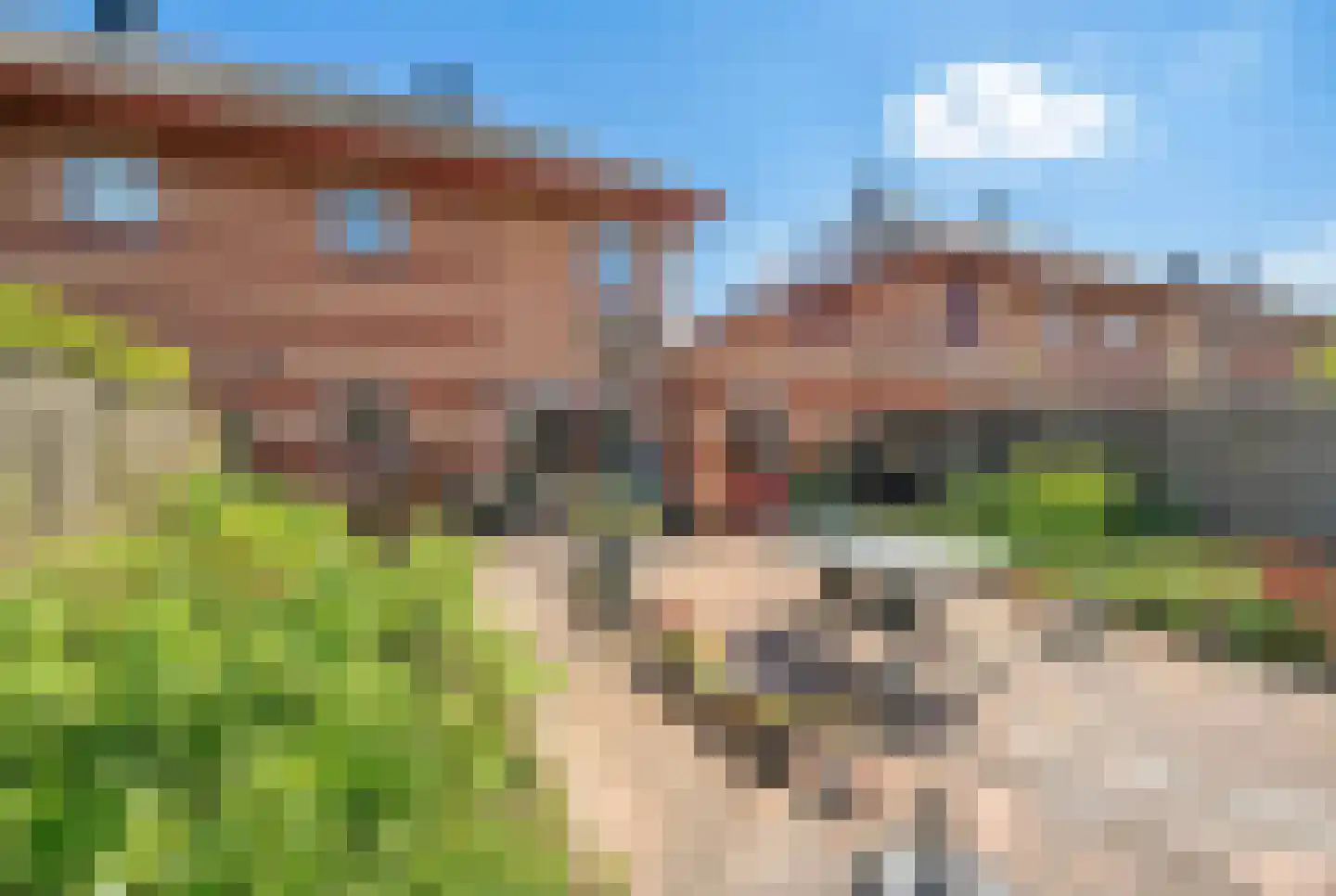 Mossel 16 Middenmeer thumbnail 26