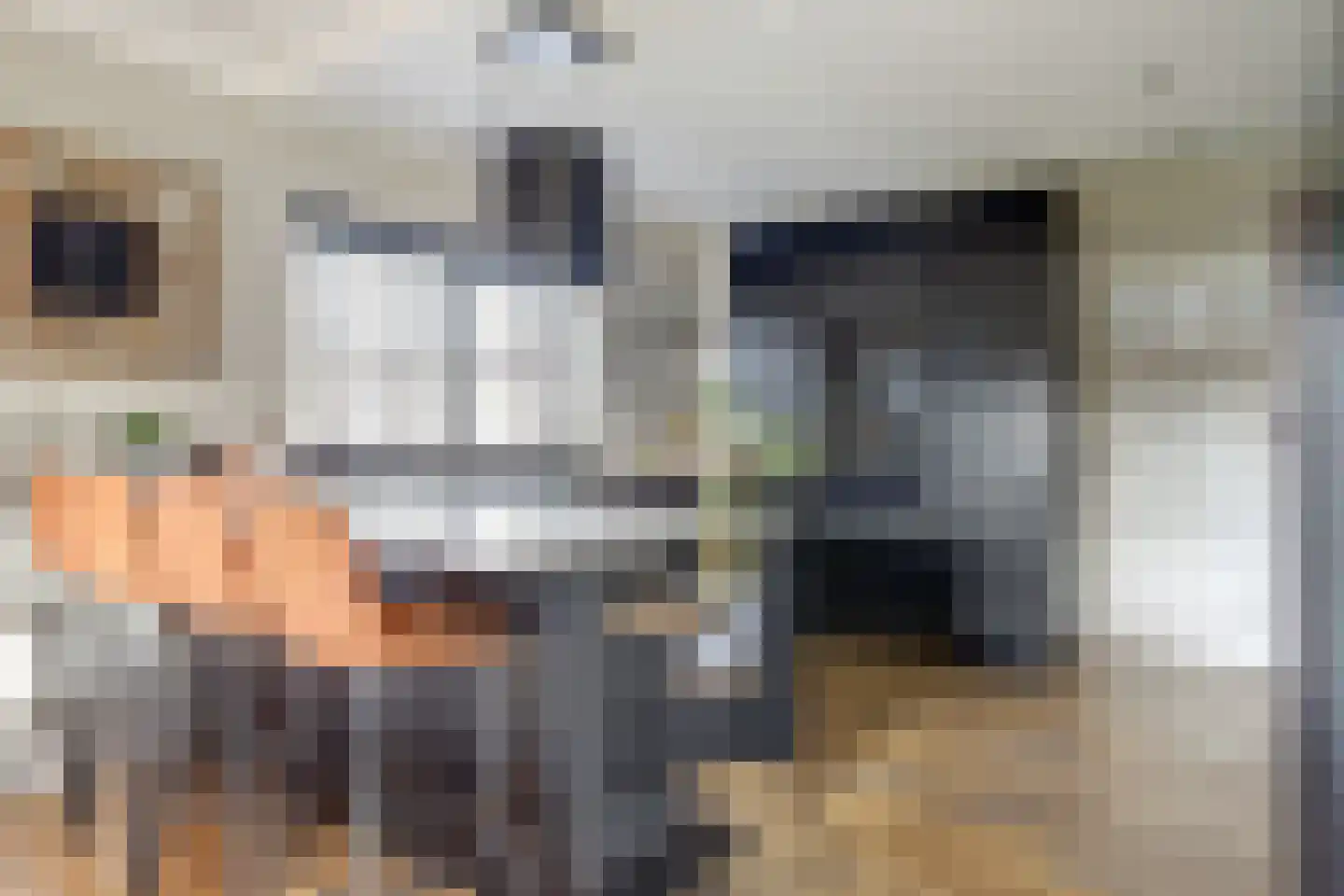 Mossel 2 Middenmeer thumbnail 11