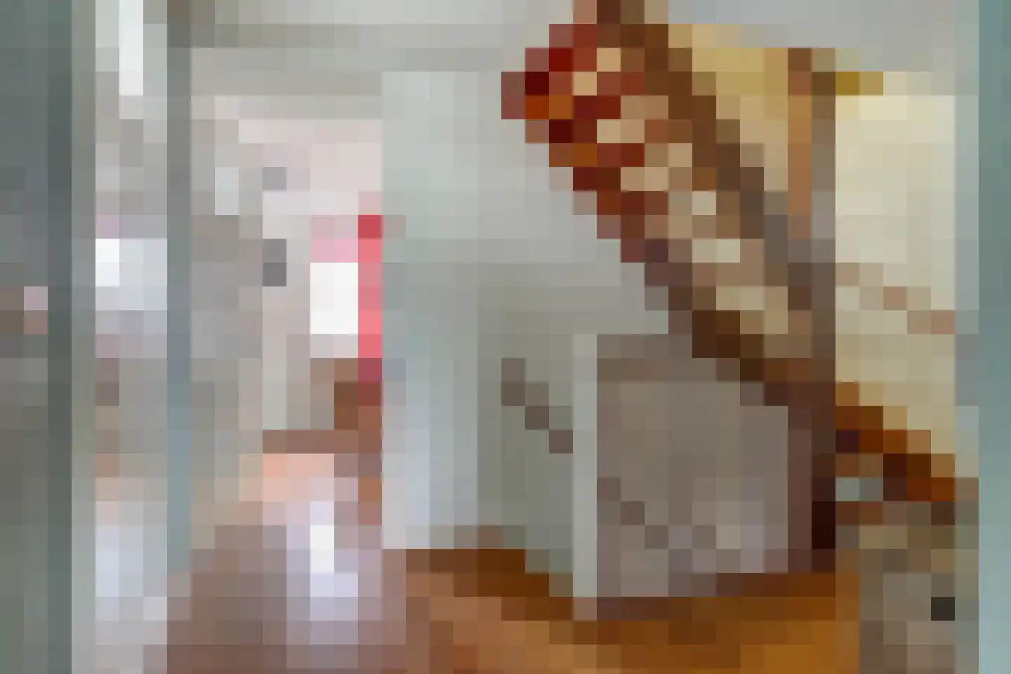 Mossel 2 Middenmeer thumbnail 16