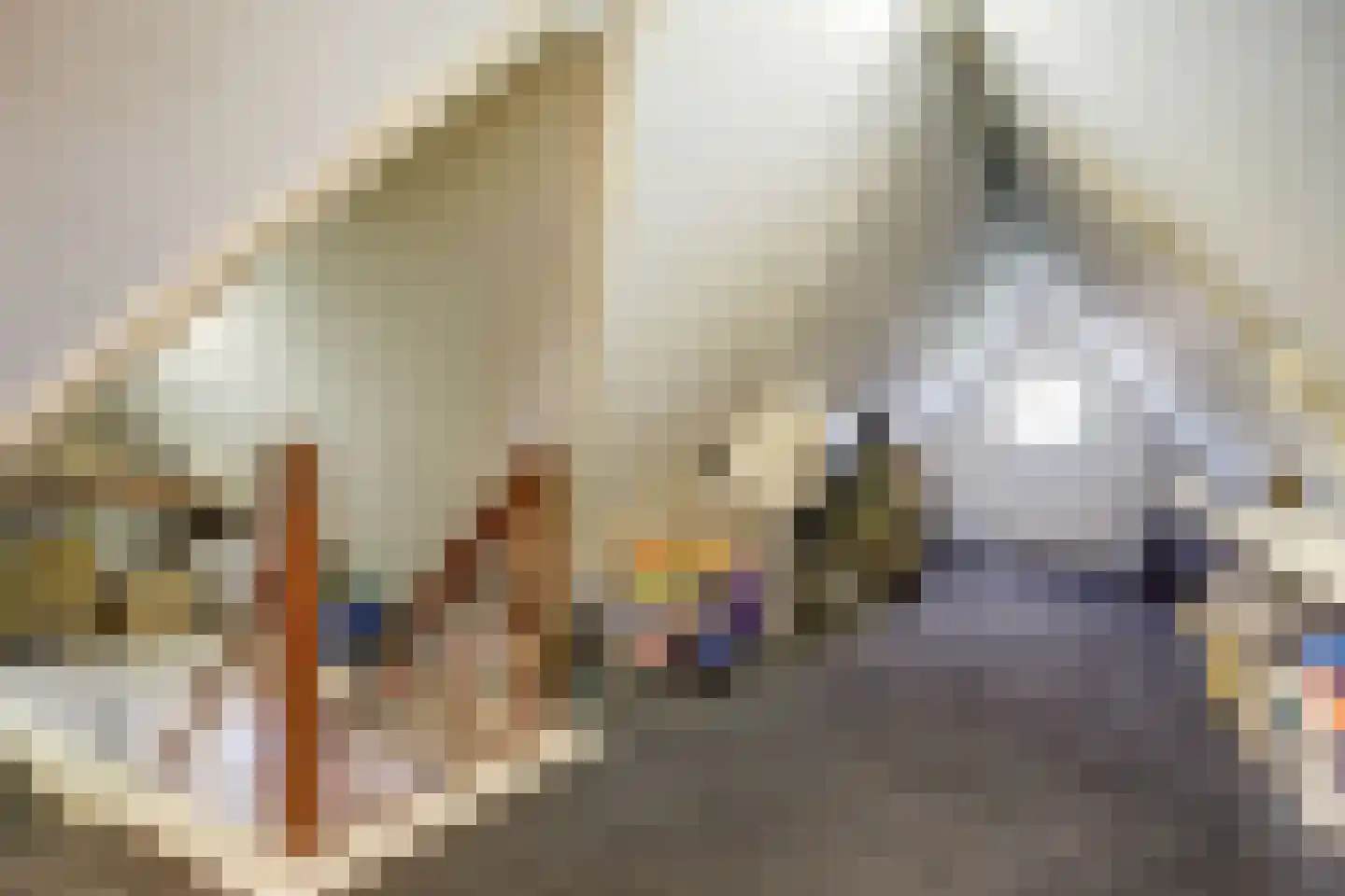Mossel 2 Middenmeer thumbnail 28