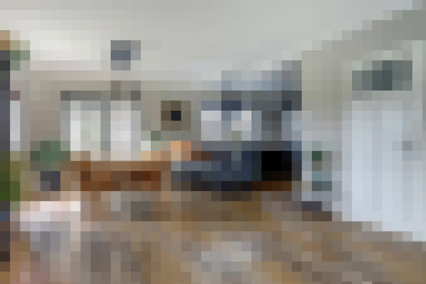 Mossel 2 Middenmeer foto 3