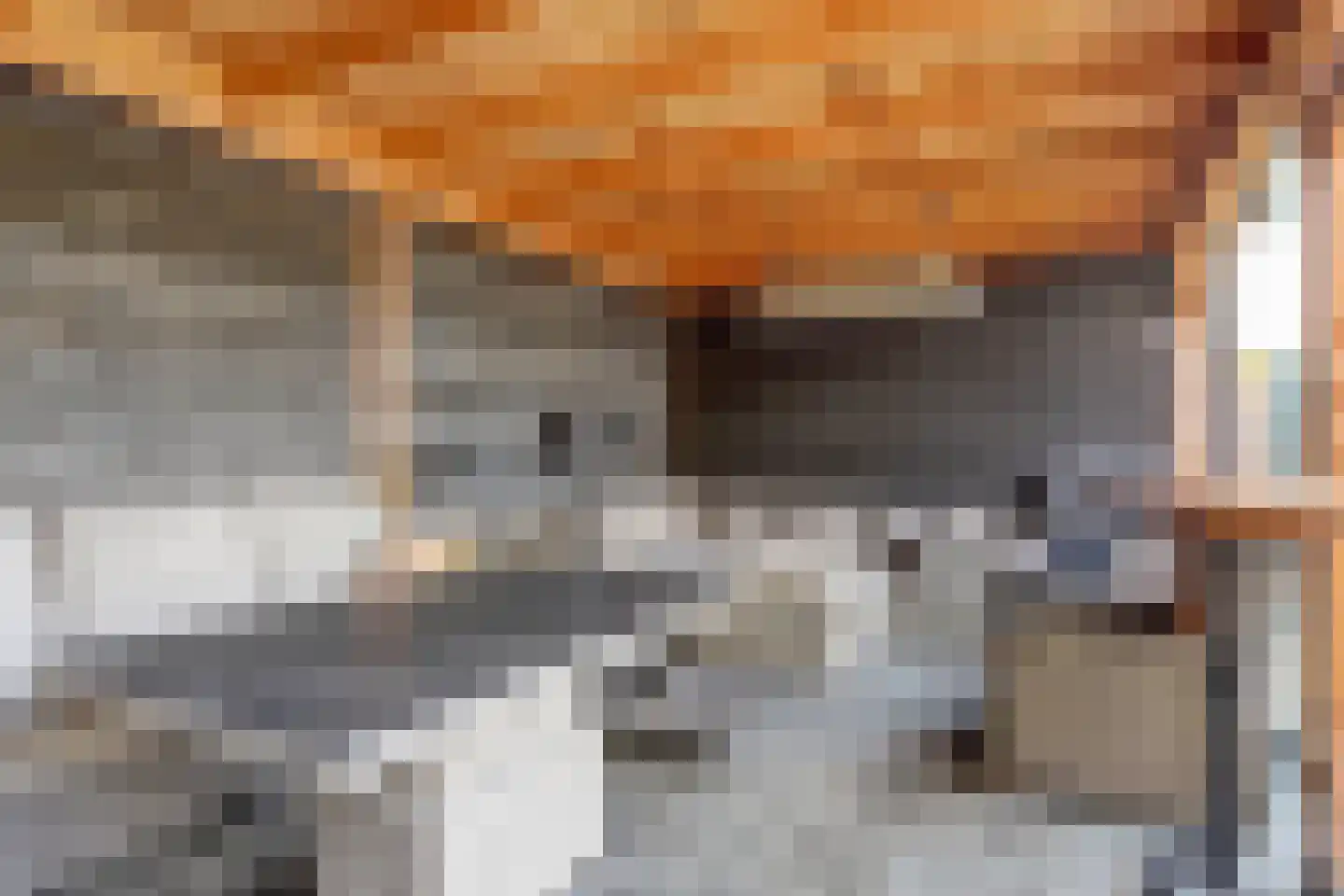 Mossel 2 Middenmeer thumbnail 32