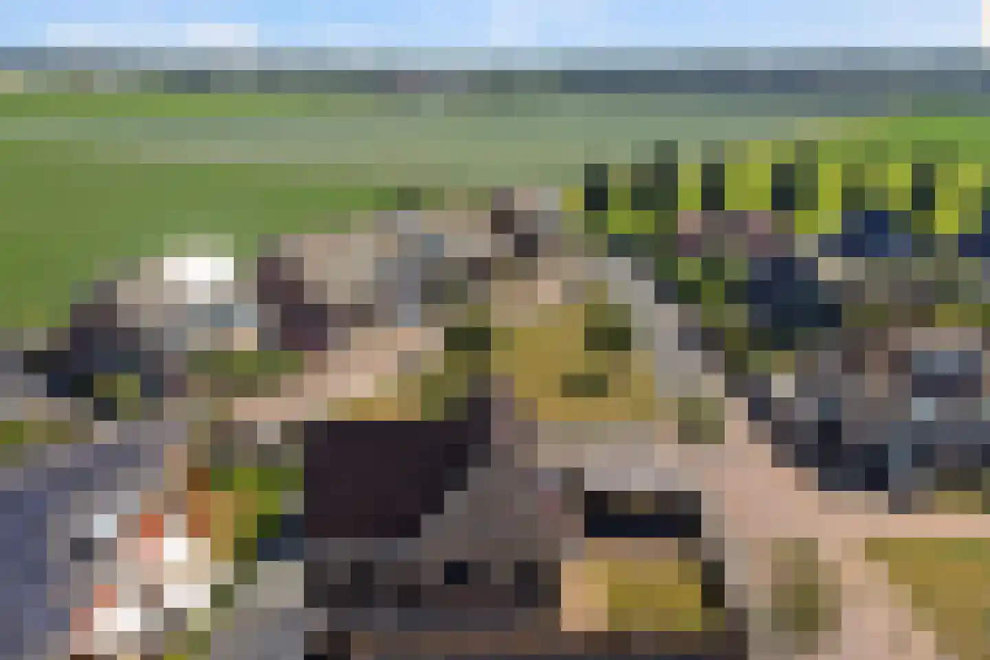 Mossel 2 Middenmeer thumbnail 37