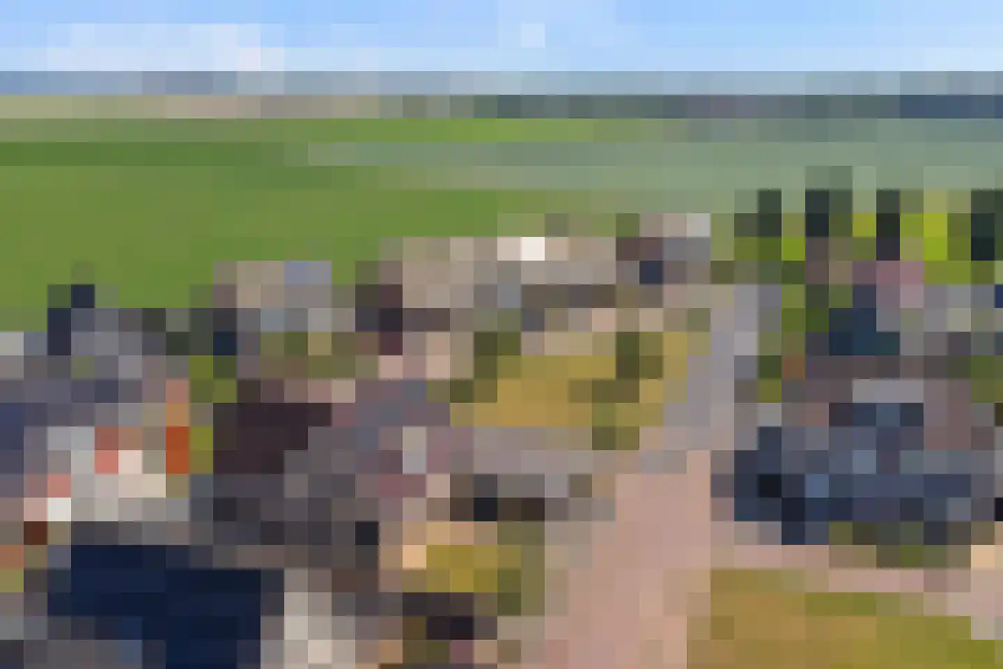 Mossel 2 Middenmeer thumbnail 38