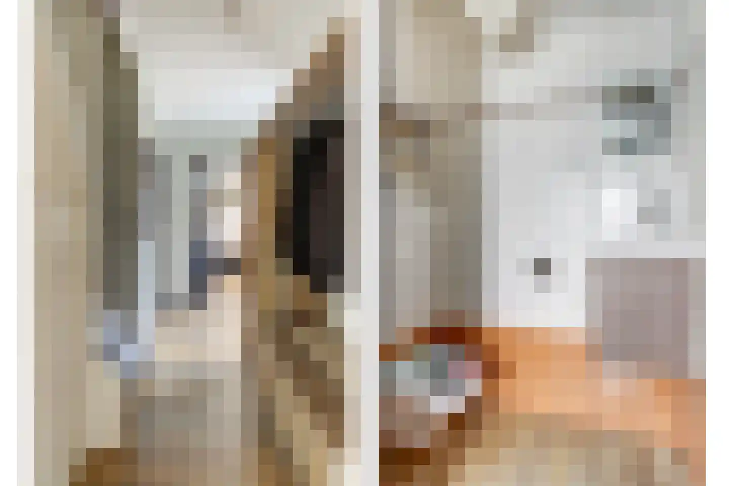 Mossel 2 Middenmeer thumbnail 5