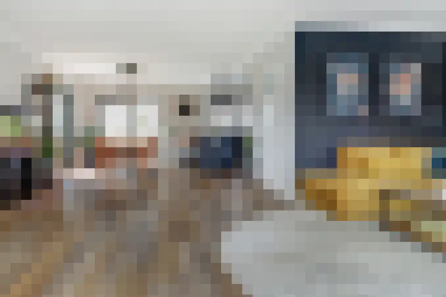 Mossel 2 Middenmeer thumbnail 7
